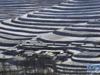甘肃天祝：雪落梯田景色美