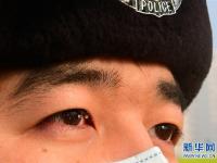 低温下的劳动者