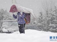 山东烟台：小寒时节雪花飘