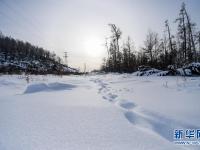 雪落大兴安岭
