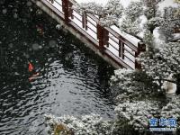 贵阳降雪
