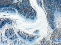 雪落大兴安岭
