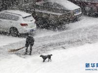山东烟台：小寒时节雪花飘
