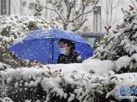 山东烟台：小寒时节雪花飘