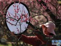 南京国际梅花节开幕
