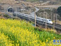 一路繁花伴旅途
