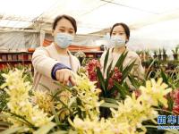 选购鲜花迎新春
