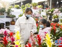 选购鲜花迎新春

