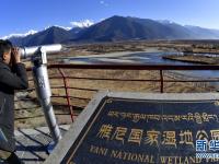 西藏雅尼国家湿地公园冬景宜人
