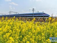 一路繁花伴旅途
