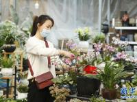 选购鲜花迎新春
