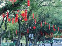 福州：张灯结彩迎新春
