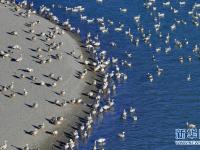 西藏雅尼国家湿地公园冬景宜人
