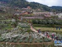 春到幸福古村
