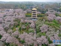 春光无限 缤纷如画
