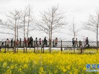 川西平原花季之旅