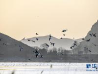 春光无限 缤纷如画
