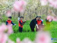 河北邯郸：“田间课堂”绘春光
