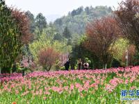 贵州龙里：龙架山花开引客来
