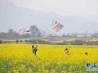 川西平原花季之旅