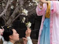 小小梨花美乡村
