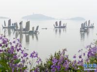 春意浓花开艳
