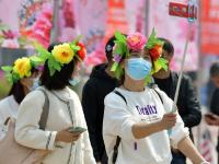 山东菏泽：富贵花迎八方客
