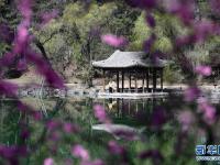 春花烂漫避暑山庄
