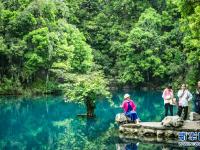 贵州荔波：绿水青山引客来
