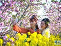 踏青赏花享春光
