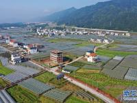 广西资源：田园综合体助乡村振兴
