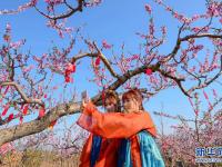 踏青赏花享春光
