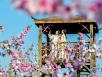 踏青赏花享春光
