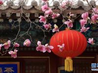 古刹花开

