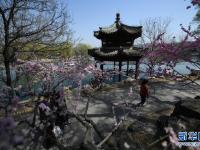春花烂漫避暑山庄
