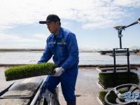黑龙江：北斗导航助力无人驾驶插秧