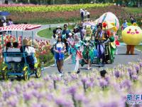 杭州：“迎五一”千亩花海开启动漫嘉年华