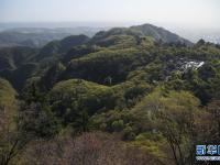 崆峒山绿意盎然
