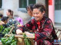 贵州玉屏：棕香迎端午
