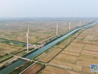 河北黄骅多措并举治理地下水超采