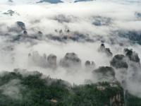 云起峰林间