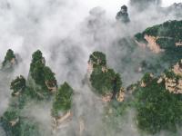 云起峰林间