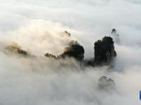 云起峰林间