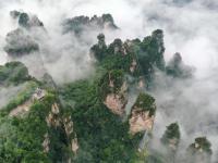 云起峰林间