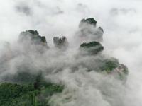 云起峰林间