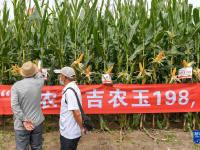 第二十届中国长春国际农业·食品博览（交易）会开幕