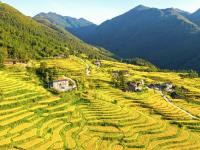湖南东安：山村梯田丰收在望
