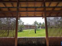 河北雄安新区悦容公园建设有序推进
