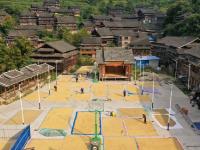 广西三江：山乡稻谷飘香