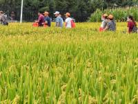 第二十届中国长春国际农业·食品博览（交易）会开幕
